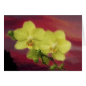 Orchid Sunset (Front Horizontal)