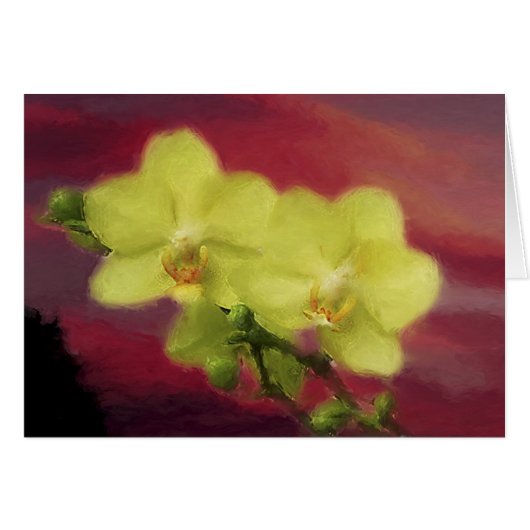 Orchid Sunset Cards (Front Horizontal)