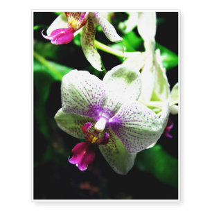 Orchid Temporary Tattoos
