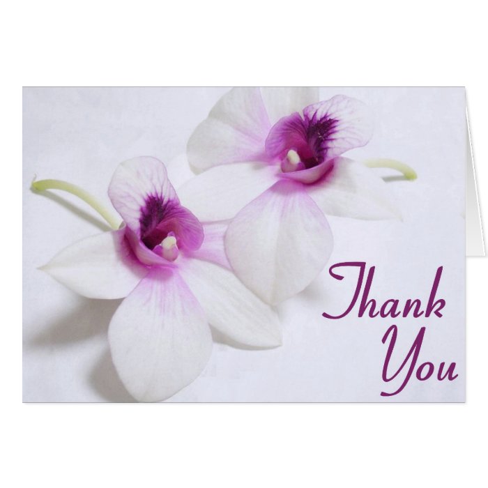 Orchid Thank You cards | Zazzle