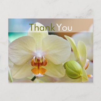 Orchid • Thank You Postcard