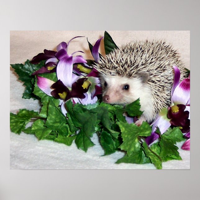 Orchid the Hedhearing Poster (Front)