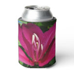 Orchid Tree Blossom Can Cooler