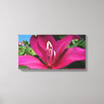 Orchid Tree Blossom Canvas Print