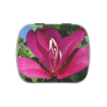 Orchid Tree Blossom Jelly Belly Tin