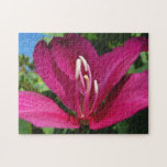 Orchid Tree Blossom Jigsaw Puzzle