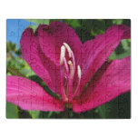 Orchid Tree Blossom Jigsaw Puzzle