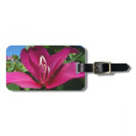 Orchid Tree Blossom Luggage Tag