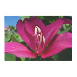 Orchid Tree Blossom Placemat