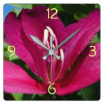 Orchid Tree Blossom Square Wall Clock