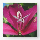 Orchid Tree Blossom Square Wall Clock