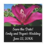 Orchid Tree Blossom Tropical Floral