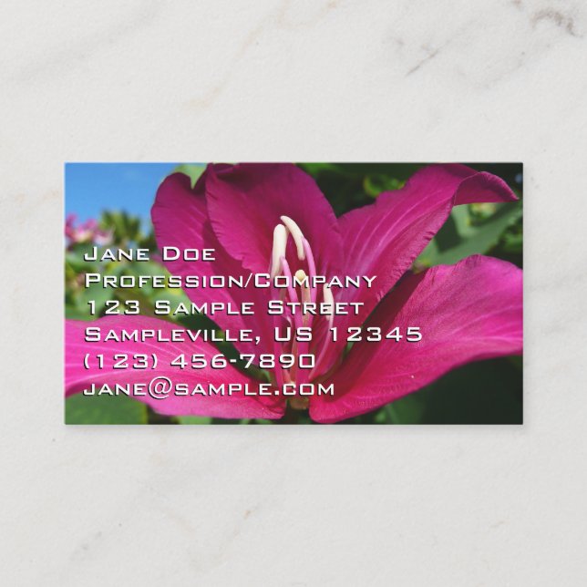 Orchid Tree Blossom Tropical Floral Business Card (Front)