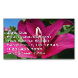 Orchid Tree Blossom Tropical Floral Business Card Magnet