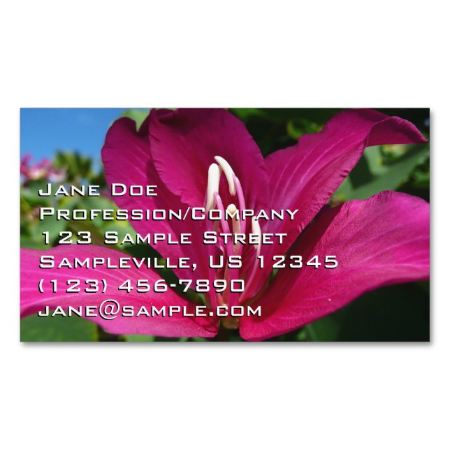 Orchid Tree Blossom Tropical Floral Business Card Magnet (Front)