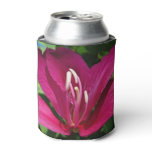 Orchid Tree Blossom Tropical Floral Can Cooler