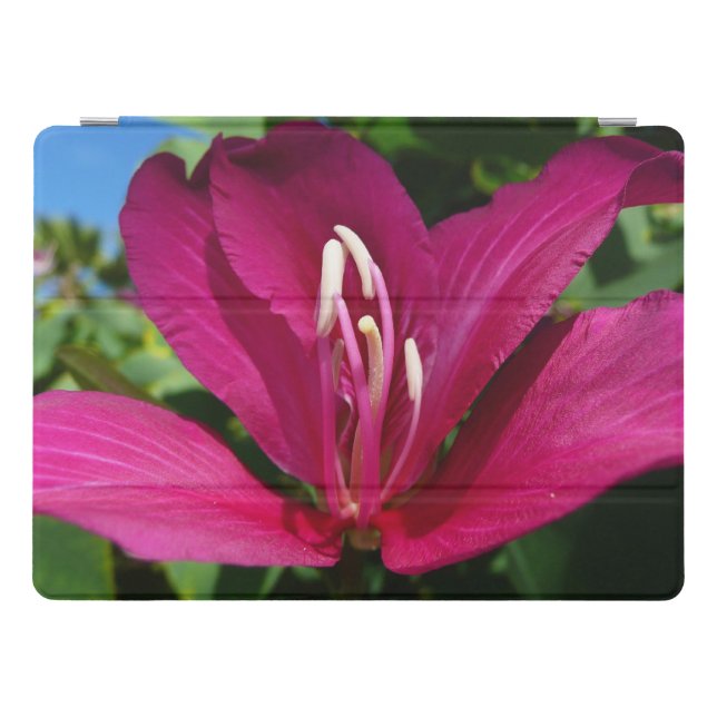 Orchid Tree Blossom Tropical Floral iPad Pro Cover (Horizontal)
