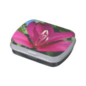 Orchid Tree Blossom Tropical Floral Jelly Belly Tin (Side)
