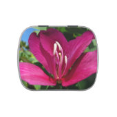 Orchid Tree Blossom Tropical Floral Jelly Belly Tin (Top)