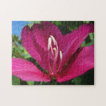 Orchid Tree Blossom Tropical Floral Jigsaw Puzzle