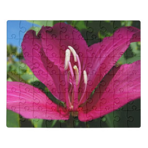 Orchid Tree Blossom Tropical Floral Jigsaw Puzzle