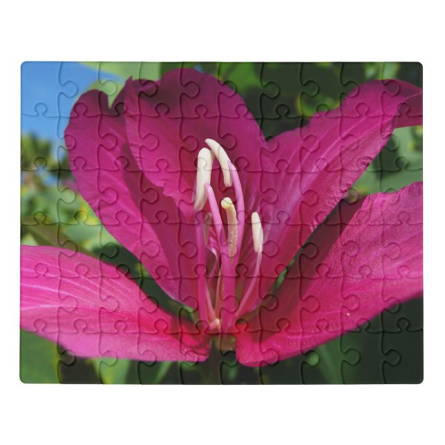 Orchid Tree Blossom Tropical Floral Jigsaw Puzzle (Puzzle Horizontal)