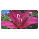 Orchid Tree Blossom Tropical Floral License Plate