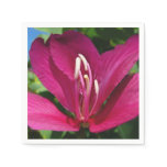 Orchid Tree Blossom Tropical Floral Napkins