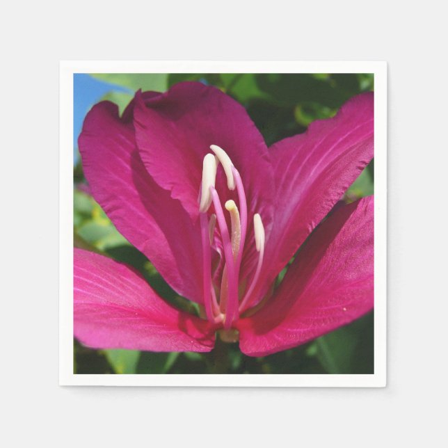Orchid Tree Blossom Tropical Floral Napkins (Front)
