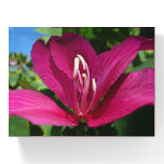 Orchid Tree Blossom Tropical Floral Paperweight