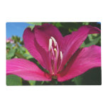 Orchid Tree Blossom Tropical Floral Placemat
