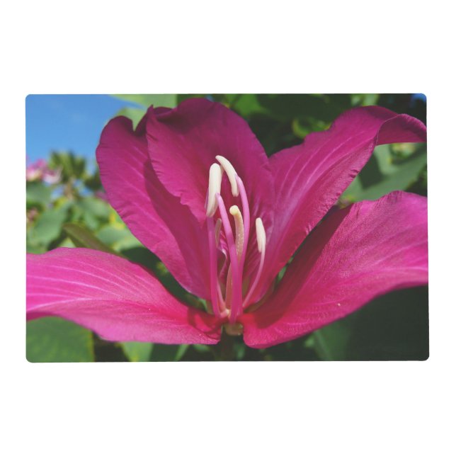 Orchid Tree Blossom Tropical Floral Placemat (Front)