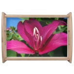 Orchid Tree Blossom Tropical Floral Serving Tray