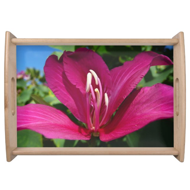 Orchid Tree Blossom Tropical Floral Serving Tray (Front)