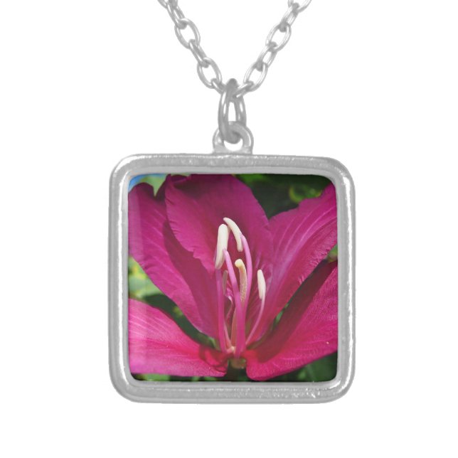 Orchid Tree Blossom Tropical Floral Silver Plated Necklace (Front)