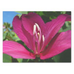 Orchid Tree Blossom Tropical Floral Tissue Paper