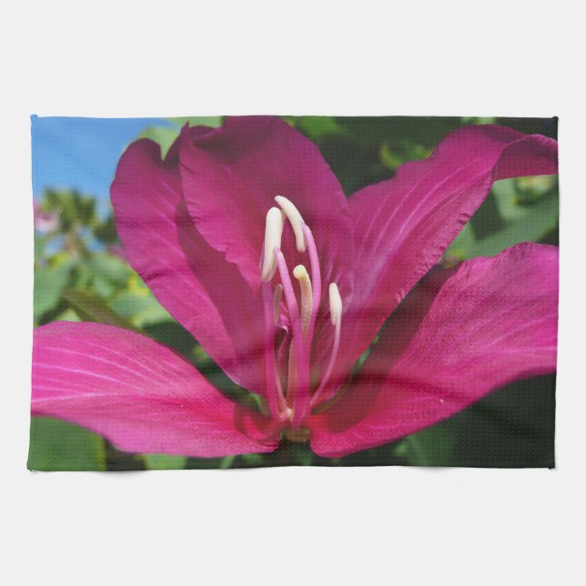 Orchid Tree Blossom Tropical Floral Towel (Horizontal)