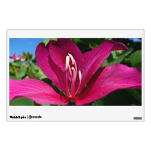 Orchid Tree Blossom Tropical Floral Wall Sticker