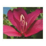 Orchid Tree Blossom Tropical Floral Wood Wall Decor