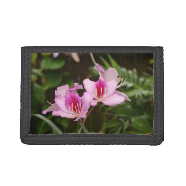 Orchid Tree Flower wallet (Front)