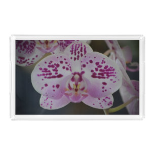 Orchid Vanity Tray