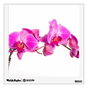 Orchid Wall Decal