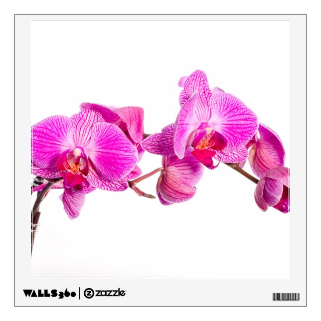 Orchid Wall Decal (Front)