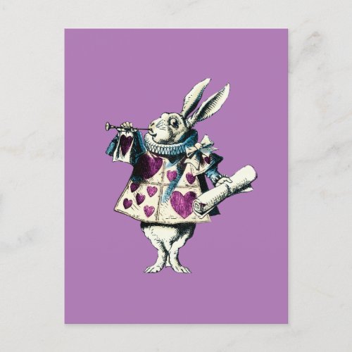 Orchid White Rabbit Decree Postcard