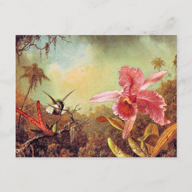 Orchid with Two Hummingbirds, fine art painting,  Postcard (Front)