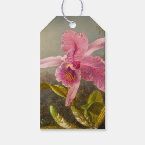 Orchid with Two Hummingbirds Heade Gift Tags