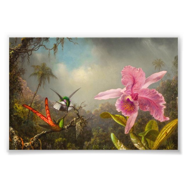 Orchid with Two Hummingbirds Heade Photo Print (Front)