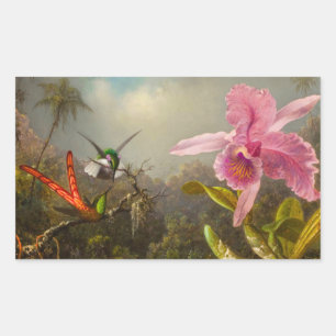 Orchid with Two Hummingbirds Heade Rectangular Sticker