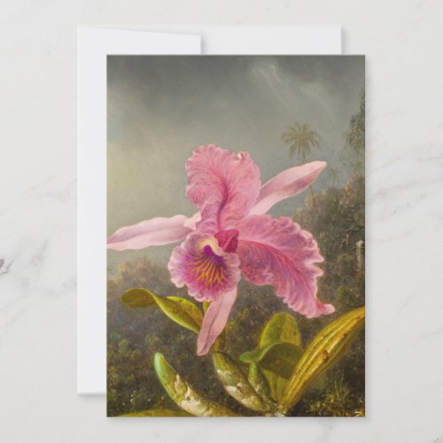 Orchid with Two Hummingbirds Heade Save The Date