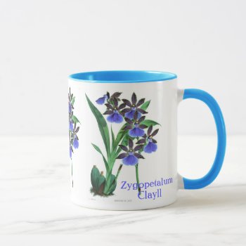 Orchid Zygopetalum Clayll Mug by lostlit at Zazzle